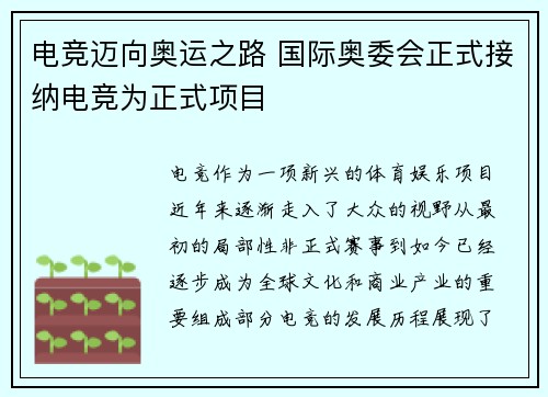 电竞迈向奥运之路 国际奥委会正式接纳电竞为正式项目