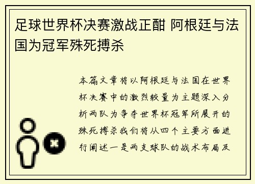 足球世界杯决赛激战正酣 阿根廷与法国为冠军殊死搏杀