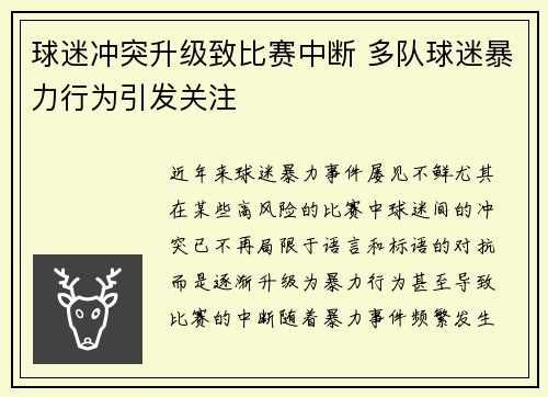 球迷冲突升级致比赛中断 多队球迷暴力行为引发关注